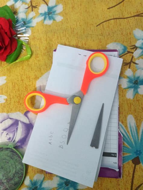 AGARO Alpha Double Set Scissor -8.5/5.5 inch - 2.3mm/1.5 mm : Amazon.in ...