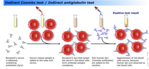 Image result for Polyspecific Dat