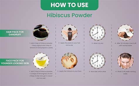 NISARG ORGANIC FARM Hibiscus Powder I Gudhal I 100% Natural & Herbal I ...