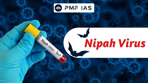 Image result for Common Civil Code