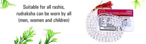 Apnisanskriti 6mm Sphatik Mala with Tussle (108+1 Beads) | Natural ...