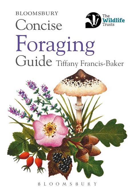 Image result for Foraging Guide
