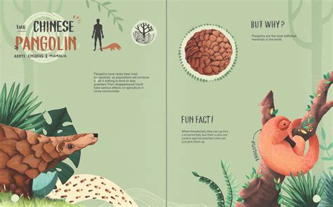 D'source E-book | Kingdom Animalia | D'Source Digital Online Learning ...