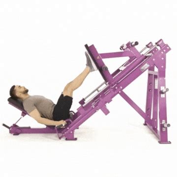 Leg Press Machine Exercise 的图像结果