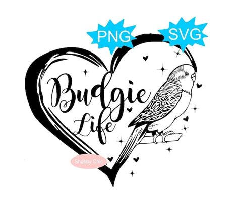 Budgie Svg Budgie Png Parakeet Svg Parakeet Png Parakeet - Etsy India
