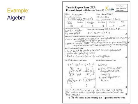 Tutorial Process 的图像结果