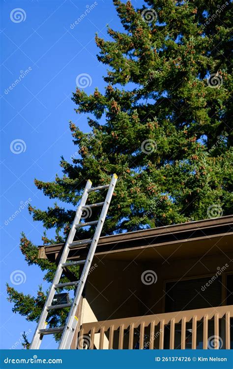 Using an Extension Ladder On a Angled Roof Line 的图像结果