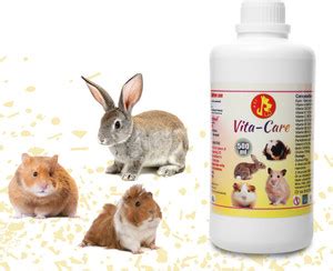 Pet Care International ((PCI) Vita-Care || Provide Essential Vitamin ...
