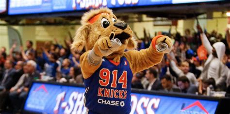 New York Knicks Mascot