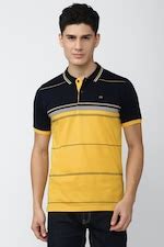 Peter England Casuals Polo T-Shirts, Men Multi Stripe Polo Neck Polo T ...