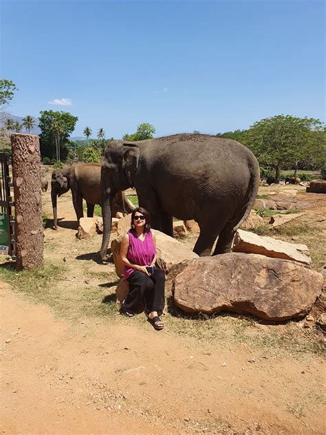 Rachana Banerjee post her Sri Lanka Vacation pic | করোনা আতঙ্কের মাঝেই ...