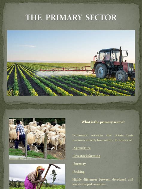 Image result for Primary Sector