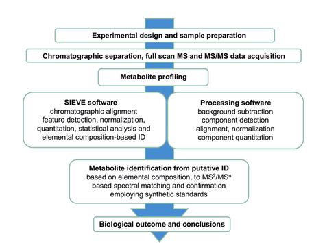 Image result for Google Data Processing Workflow