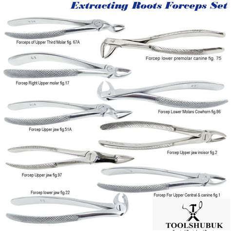 10 Piece Dental Tooth Extraction Forceps for Upper & Lower Molars Oral-surgery Pliers Set - Etsy UK