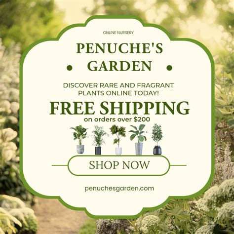 6 San Diego Native Trees That You Can Admire and Protect - Plant America