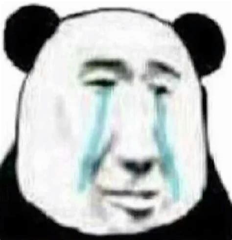 funny chinese panda meme, chinese reaction meme, biaoqing panda, 熊猫人表情包 ...