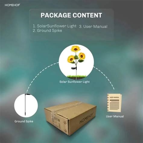 solar outdoor decor light | Garden decoration lights for home – HOMEHOP®