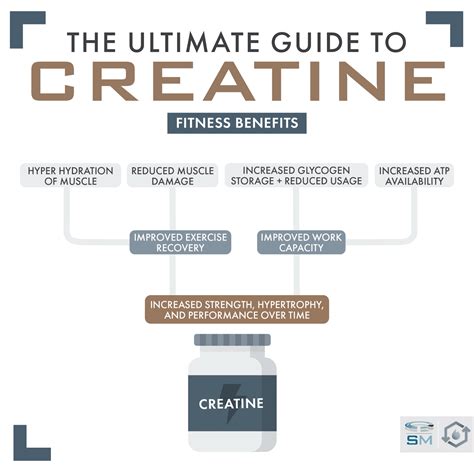 The Ultimate Guide to Creatine - Sam Miller Science