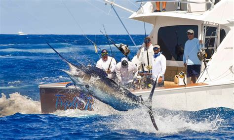 Cinco países participarán en el Torneo Internacional de Pesca de Aguja ...