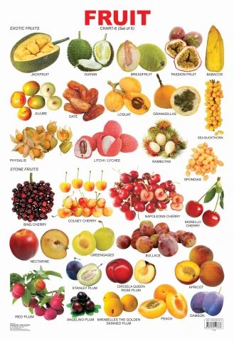 Fruit Chart - 6 : Children Reference Laminated Educational Chart By ...