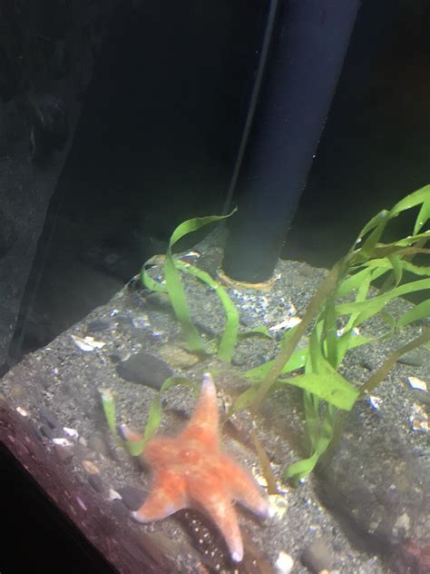 What’s Your favorite Patrick Quote : r/spongebob