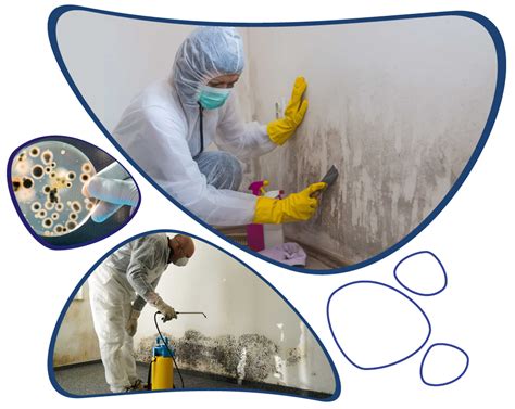 Image result for Mold Testing Philadelphia