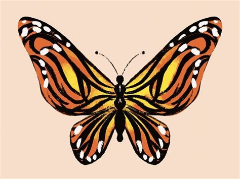 Image result for Animation Flay Papers Software