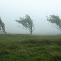 Constant Wind Sound Effect 的图像结果