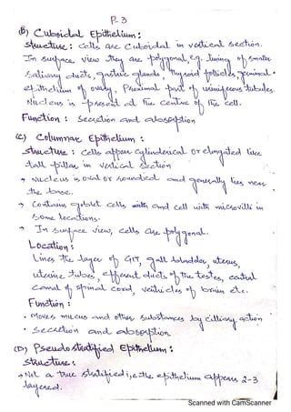 Classification of Tissues 的图像结果