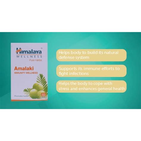 Buy HIMALAYA WELLNESS PURE HERBS AMALAKI TABLET PACK OF 2 Online & Get ...