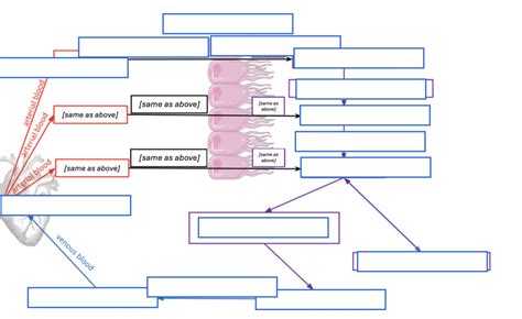 CSF Flow Chart 的图像结果