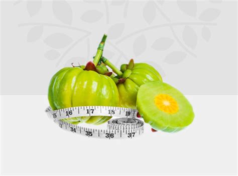 Extracts – PHYTOTECH EXTRACTS