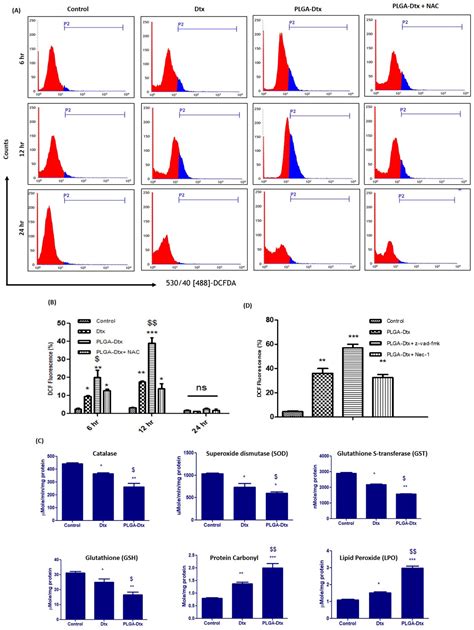 The Anti-Tumor and Immunomodulatory Effects of PLGA-Based Docetaxel ...