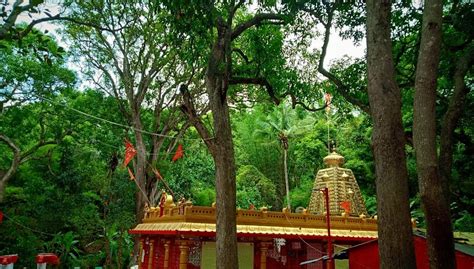 Japali Teertham, Tirupati - Tripadvisor