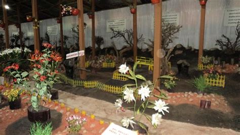 Thread Garden (Ooty) - 2021 What to Know Before You Go (with Photos ...