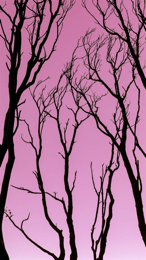 Download wallpaper 2160x3840 trees, pink, silhouette, dark samsung ...