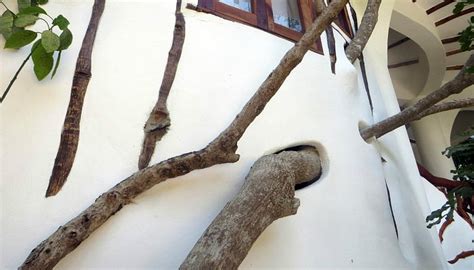 YOGA AT WATAMU TREEHOUSE - All You Need to Know BEFORE You Go 2026 ...