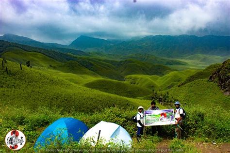 Dzukou Valley (Manipur) - 2020 What to Know Before You Go (with Photos ...