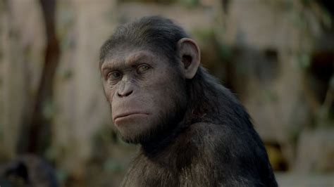 《猩球崛起3》新混剪视频曝光 追忆凯撒成长史