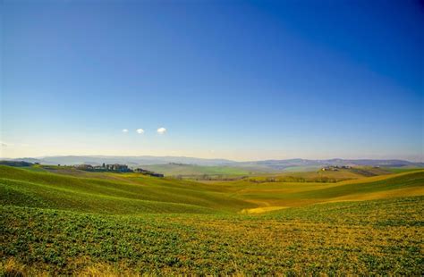 Paesaggio di un campo verde brillante e di un cielo blu limpido | Foto ...