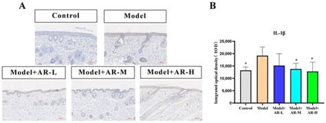 The Effect of α-Arbutin on UVB-Induced Damage and Its Underlying Mechanism