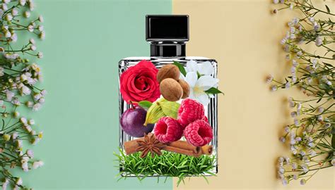 Understanding Perfume Notes: Top, Heart & Base Explained