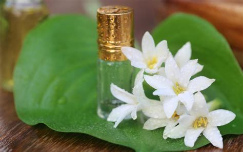 What Is The Smell Of Tuberose