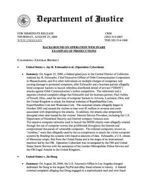 Fillable Online BACKGROUND ON OPERATION WEB SNARE EXAMPLES OF ...