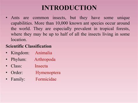 Ants - Social organisation and types of nests | PDF