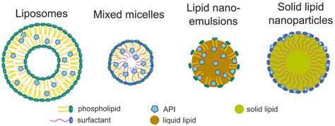 Novel Strategies for the Formulation of Poorly Water-Soluble Drug ...