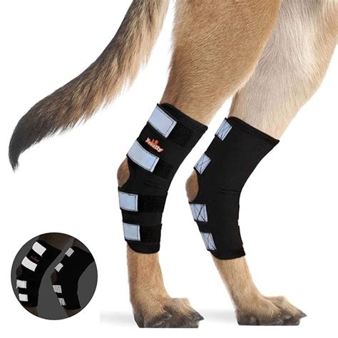 Buy NeoAlly Pair Dog Rear Leg Brace Canine Rear Hock Joint Support with ...