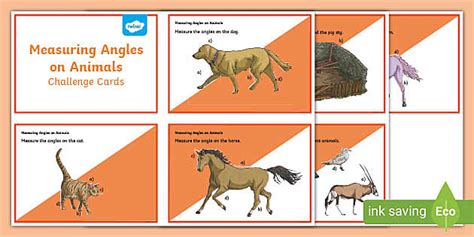 Measuring Angles on Animals Challenge Cards