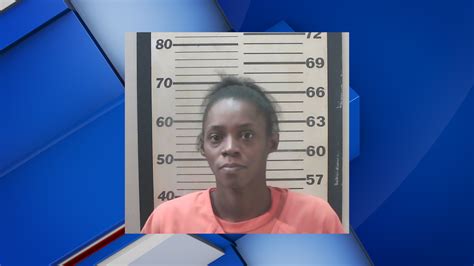 Oktibbeha County deputies make arrest after argument leads to gunfire