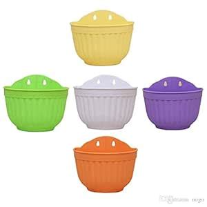 Wall Hanging pots Combo Pack of 5 : Amazon.in: Garden & Outdoors